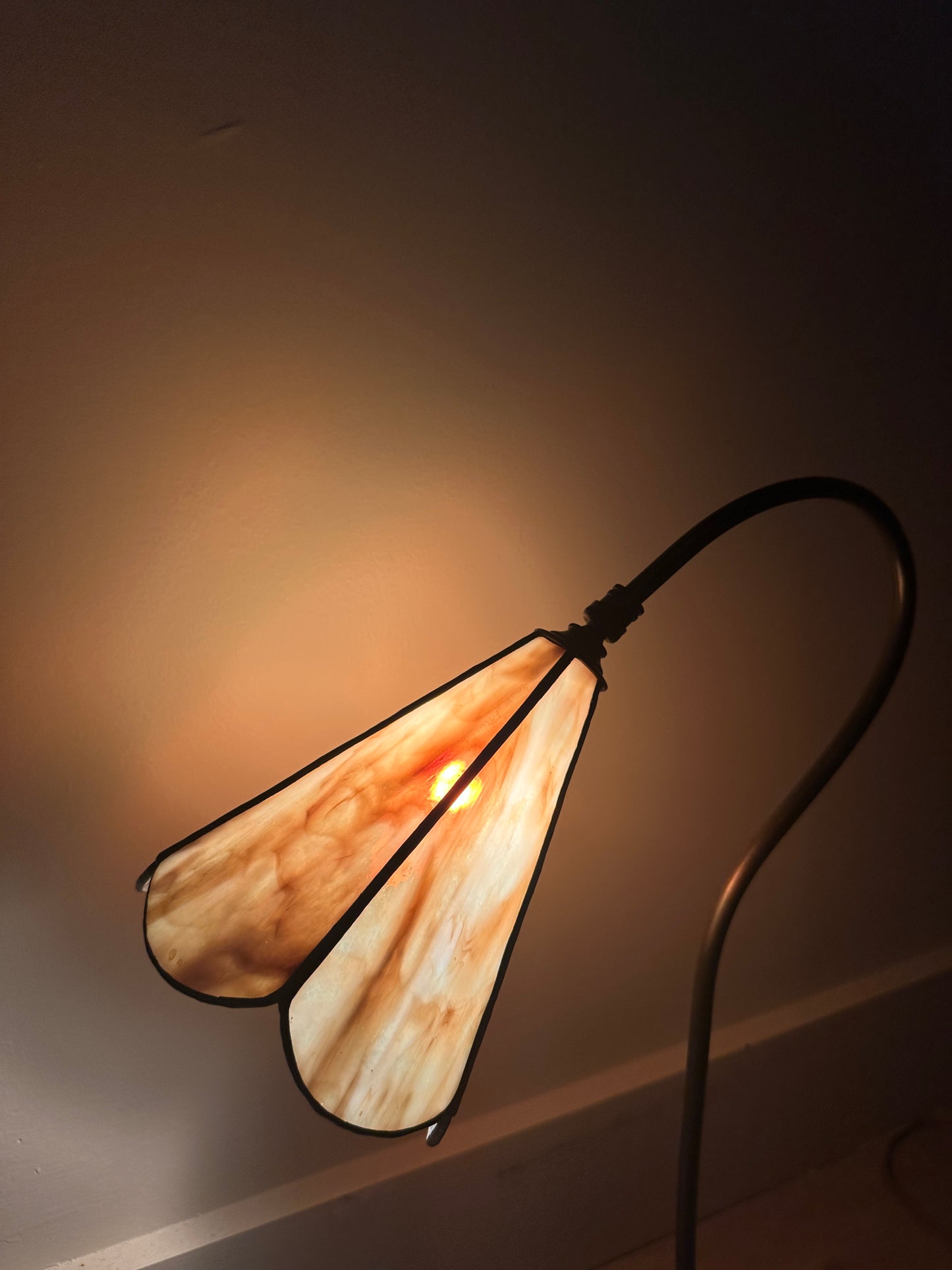 Gooseneck brass lamp