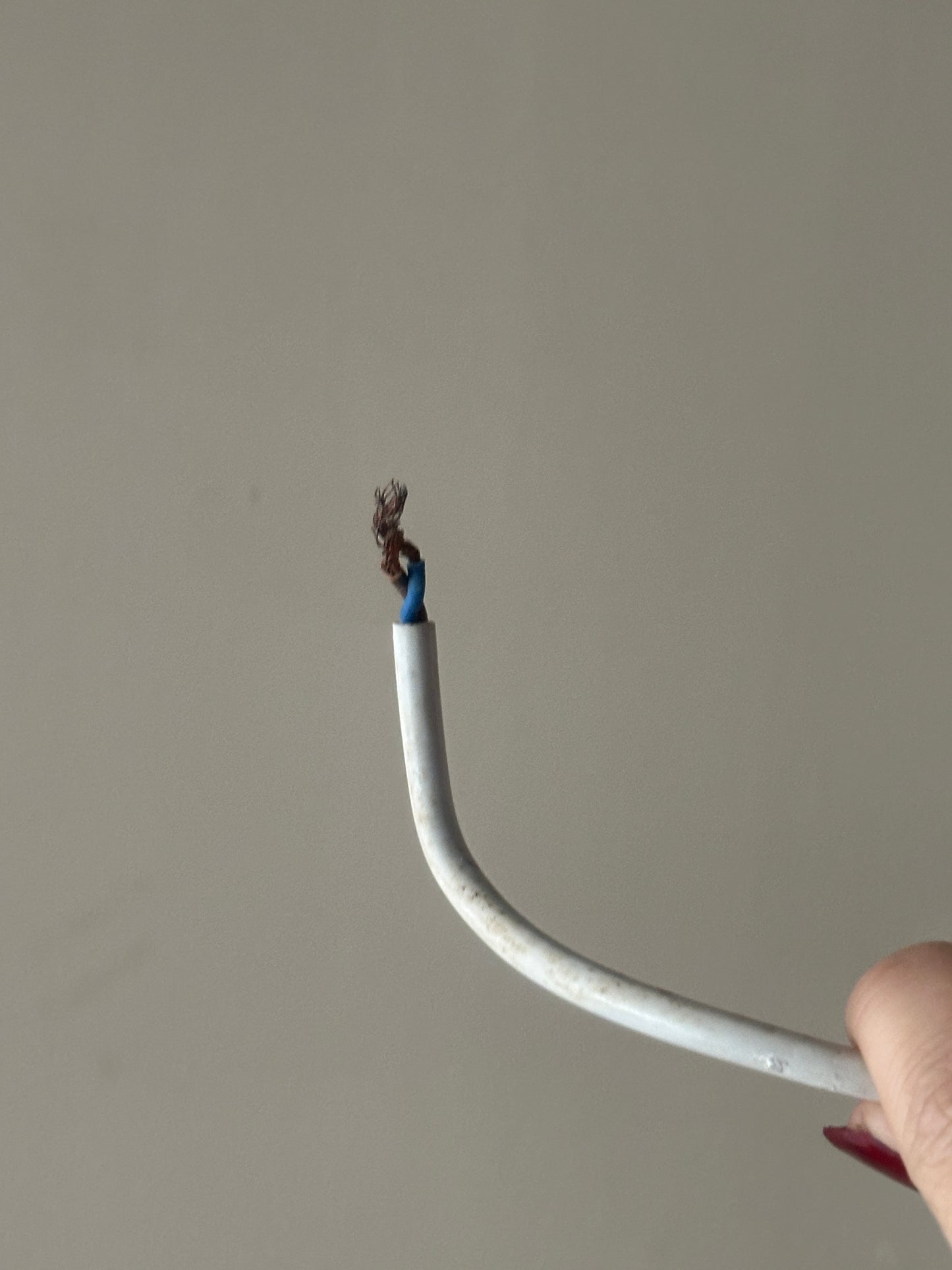 Swedish pine pendant