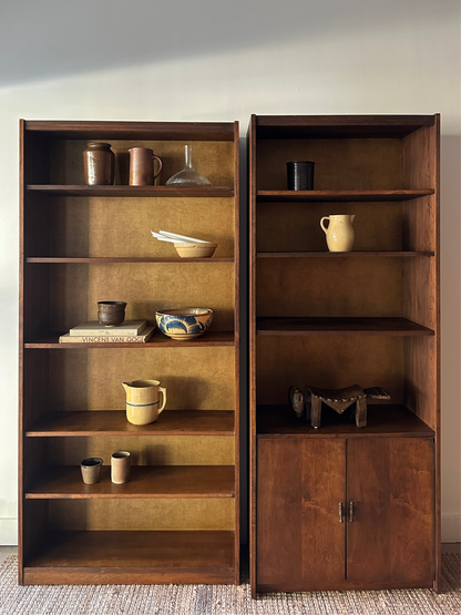 Walnut shelves with record storage