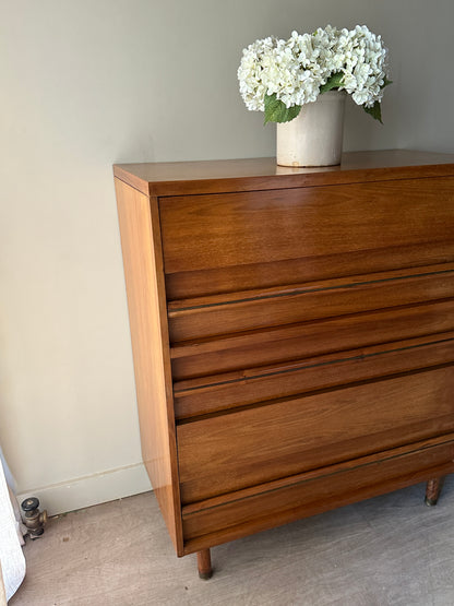 Walnut tallboy