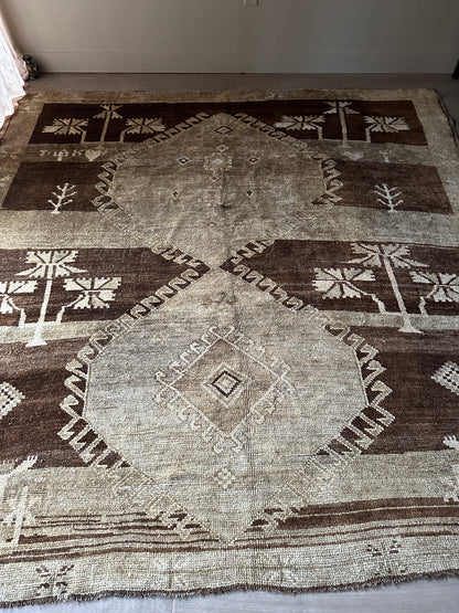 Wool rug from ABC home