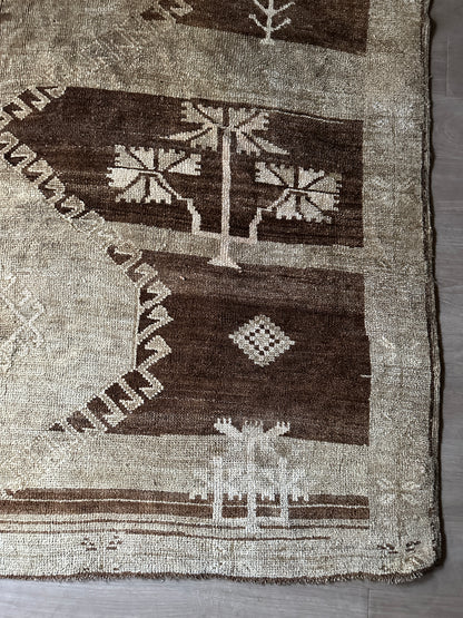 Wool rug from ABC home