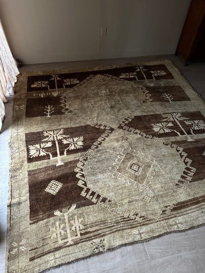 Wool rug from ABC home