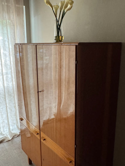 Novy Domov Czech walnut armoire