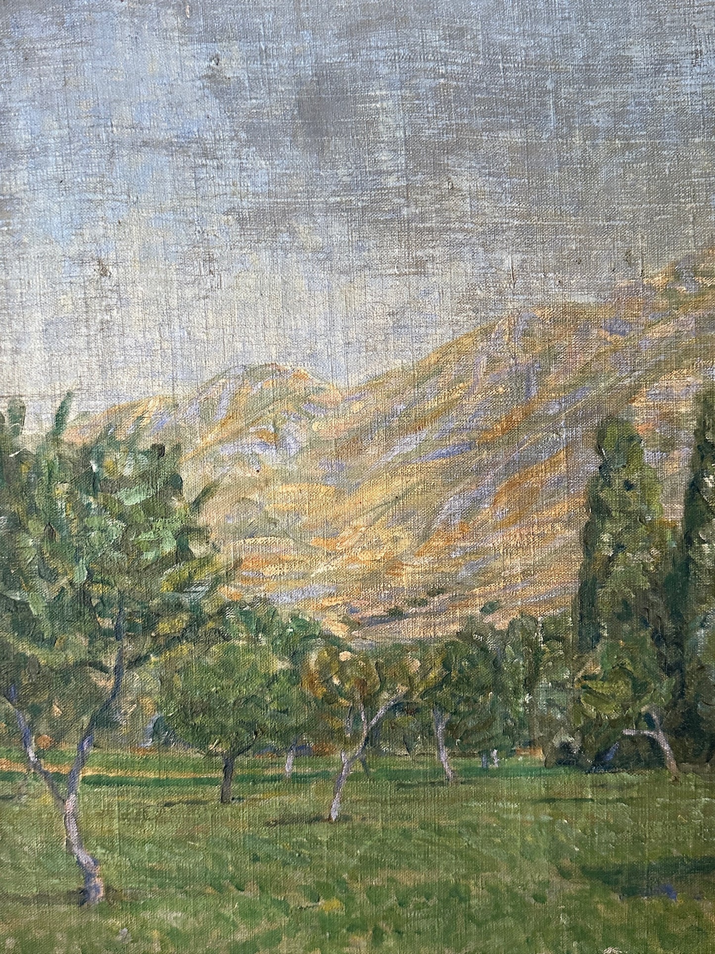 Danish landscape, unsigned