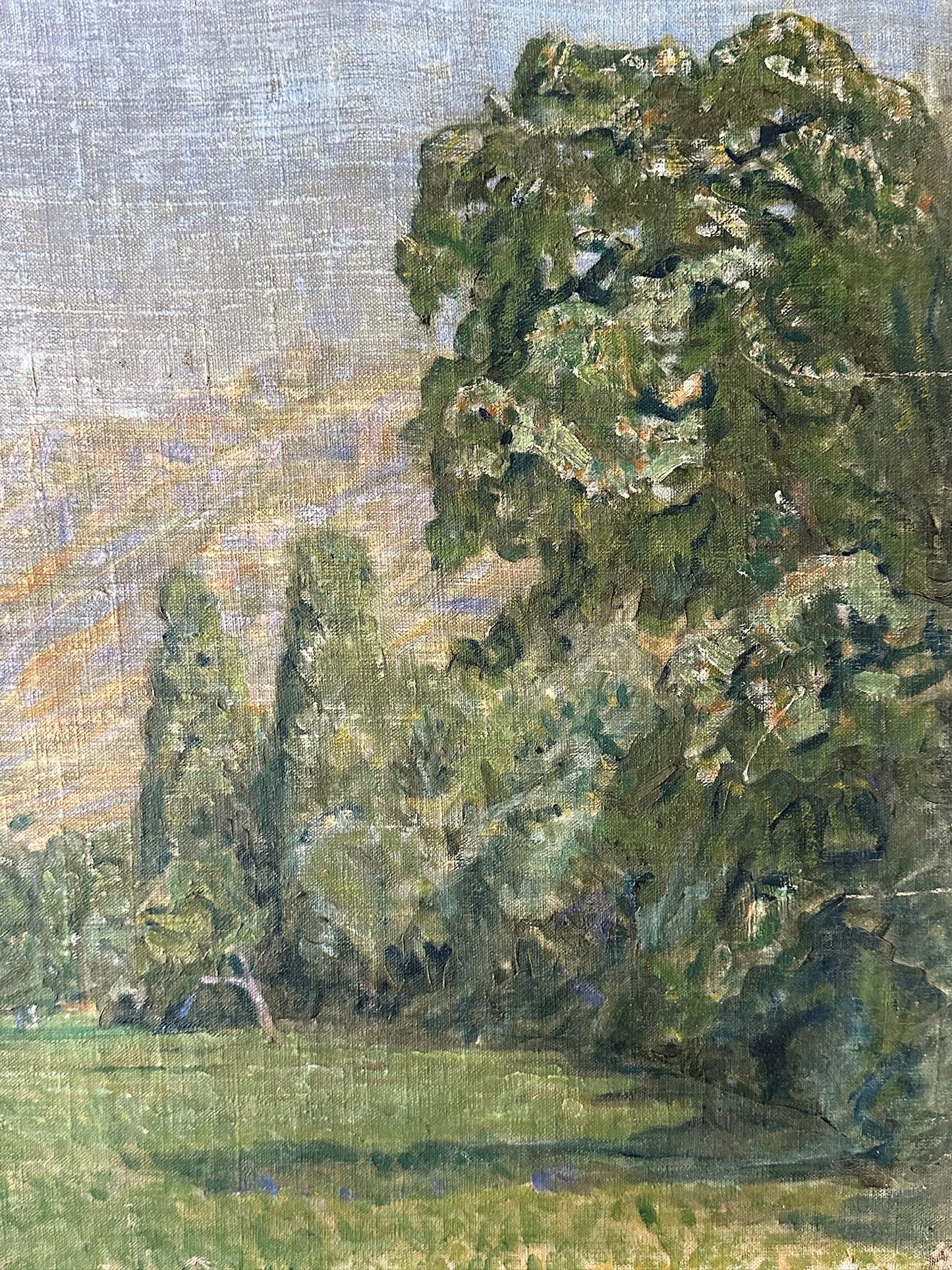 Danish landscape, unsigned