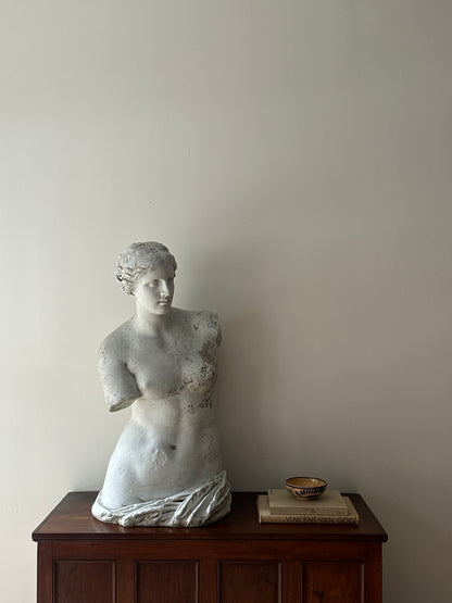 Plaster bust