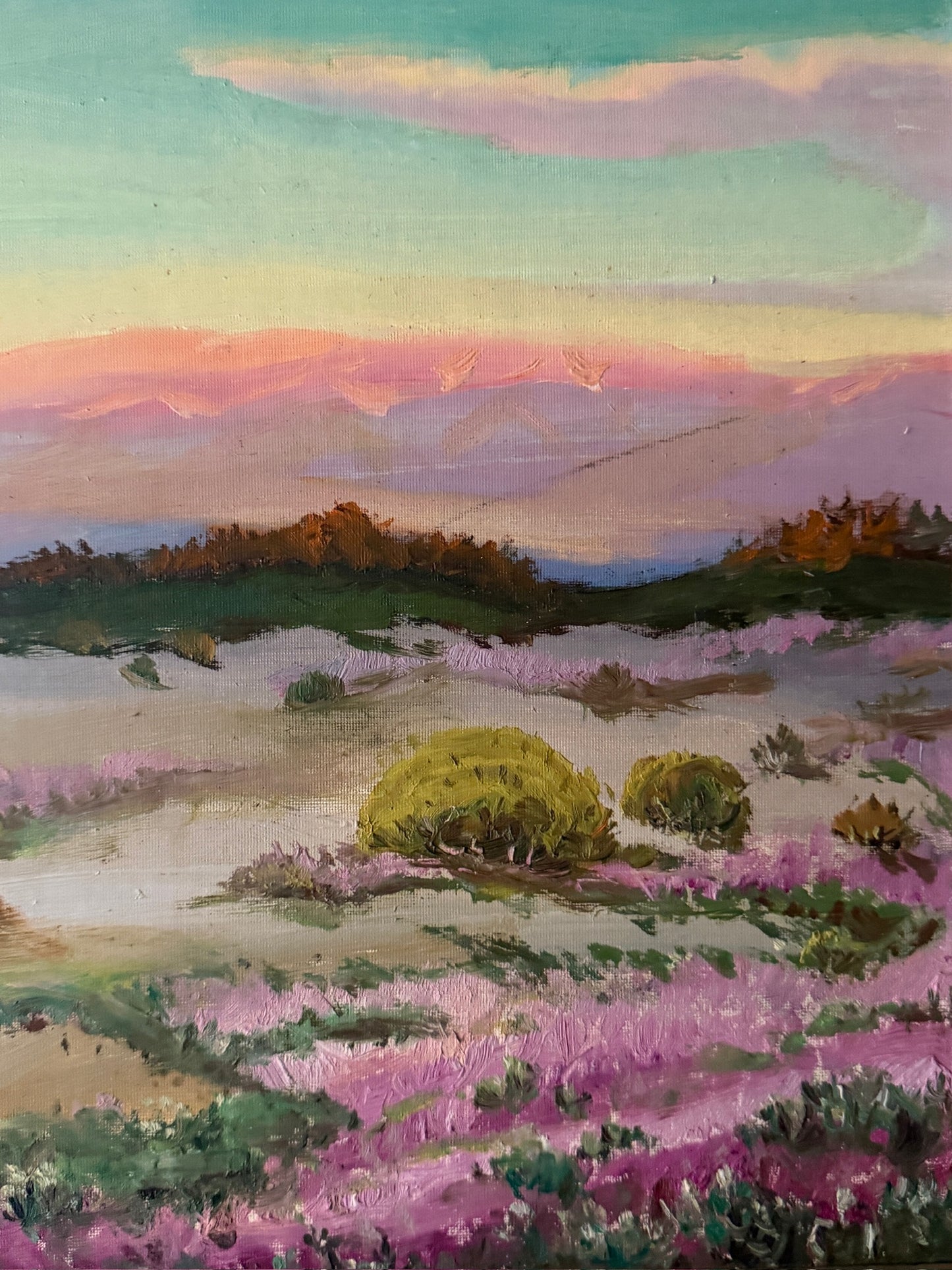 American Western landscape. Unsigned.