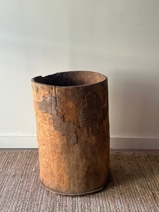 XL hornbeam planter