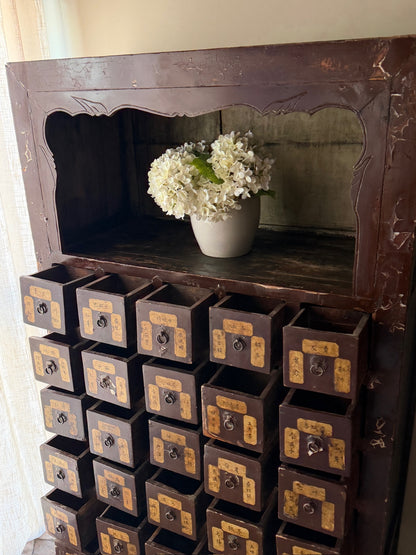 Chinese lacquered apothecary cabinet