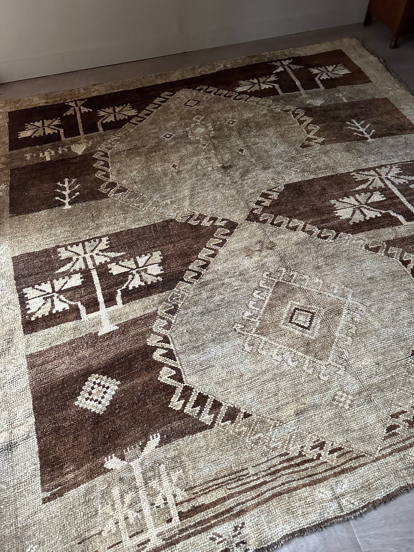 Wool rug from ABC home