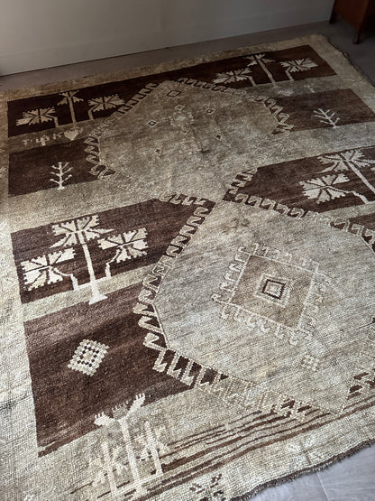 Wool rug from ABC home