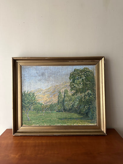Danish landscape, unsigned